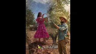 وفيق حبيب شفتا بكريم الزيتون 