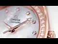 Seamaster Aqua Terra Women’s Collection | OMEGA