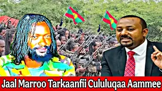 02 9 2025 Oduu Aammee Tarkaanfii Cululuqaa Gooticha Jaal Marroo Guyyaa Har Aa 