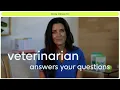 Lagu ASK A VET: Dr. Juli answers your questions about dogs