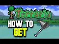 How to Get a Bug Net in Terraria