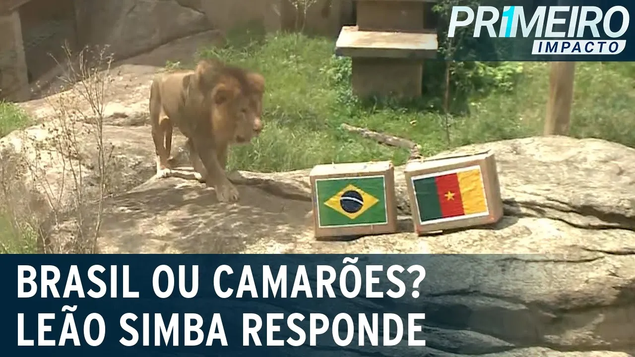 Palpite exclusivo: leão prevê vencedor de Brasil x Camarões no Mundial | Primeiro Impacto (02/12/22)