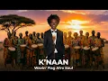 Lagu K’NAAN – Wavin’ Flag (Afro Soul Cover) 🌍 | Freedom Vibes That Give You Chills