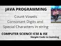 Java Program To Count Vowels Consonants Digits And Special Characters In A String