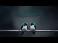 Download Lagu Two Birds - Regina Spektor Lyric Video