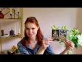 Download Lagu ❗️Его ПЛАНЫ на Вас… На что он Решится в скором времени?! ☕️🍂 Катарсис Таро