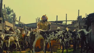 amerado angry official video 