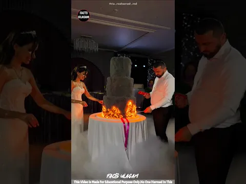 The most expensive cake.| #factsintamil #factsulagam #short