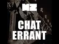 Chat errant