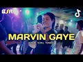 Download Lagu DJ MARVIN GAYE - PARTY SENTAK -_Papa Adung_- REMIX