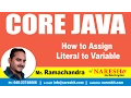 How to Assign Literal to Variable Core Java Tutorial Mr Rama Chandra