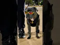 Download Lagu MEDO DE SAIR SOZINHO A NOITE #dog #cachorro #staffy #pitbull