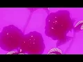 doja cat ft. sza - kiss me more (slowed and reverb)