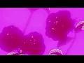 Download Lagu doja cat ft. sza - kiss me more (slowed and reverb)
