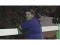 First Amendment Test Myths vs Facts Compilation