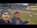 Download Lagu Cu EMILIAN TALPAȘ de la RUSTIOR! OI HAȚEGANE