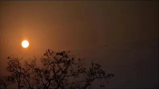 ما أجملها تلاوه عذبه تُرقق القلوب | يوسف الجرادي