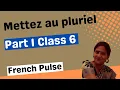 Mettez au pluriel part 1