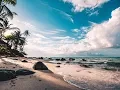 Download Lagu (FREE) Chance the Rapper x Nujabes Type Beat | Too Early (prod. Alpharo)