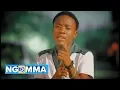 Download Lagu Timbulo - Domo Langu