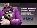 Marketing your Foster Pet - Foster Support Webinar Petco Love