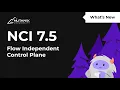 Flow Controller 7 5 Independent Control Plane Explained
