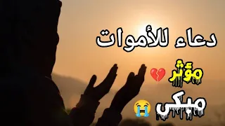 دعاء للميت الدعاء الذي سوف يسعد كل ميت من أحبائك صدقة جارية القارئ عبدالجليل الزناتي 