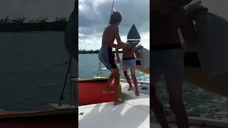 Holly Jolly pillow fights on a sailboat #sailinglife #boyswillbeboys #livingonaboat