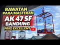 Lagu Rawatan Masteran AK 47 SF, Kuncinya hanya ada di satu hal ini