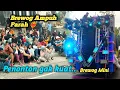 Download Lagu Brewog Ampuhh Make the audience forgiveness forgiveness Pandesari carnival