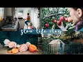 Download Lagu Slow Autumn Days at Home in England | Cook and Bake with Homegrown Harvests