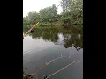 Download Lagu mancing nila di danau