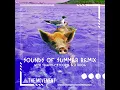 Sounds of Summer (Remix)