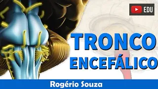 BRAIN STEM (Full Class) - Rogério Souza