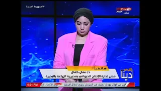 هل تنخفض أسعار الدواجن الأيام القادمة مدير إدارة الانتاج الحيواني بمديرية الزراعة تجيب 