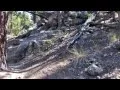 Lost Burrito - Jedi Loop Part 1