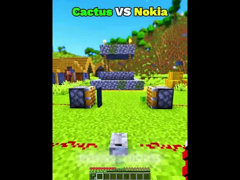 Cactus VS Nokia