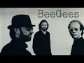 Download Lagu Night Fever - Bee Gees (1977) audio hq