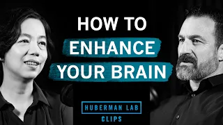 How to Enhance Your Brain with AI | Dr. Fei-Fei Li & Dr. Andrew Huberman