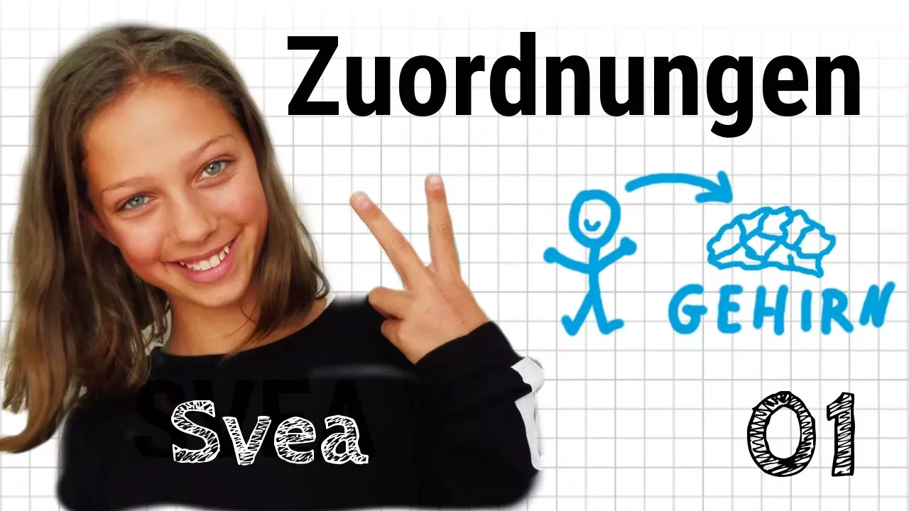 Mathe52: Zuordnungen mit Svea #1