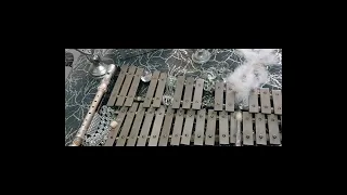 تعليم اكسليفون   تعلم عزف مقدمة انت عمري ام كلثوم على الاكسليفون دندنها