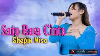 Download Shepin Misa - Satu Rasa Cinta | Dhehan Audio - Om SAVANA Blitar Live Magelang MP3
