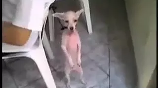 سلوكي هو  سلوكي هو