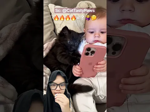 Bayi dan kucing MAIN HAPE, Auto dimarahin‼️😡 CatTastyPaws #shorts #youtubeshorts