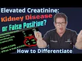 Download Lagu Elevated Creatinine - Kidney Disease or False Positive? How to Differentiate