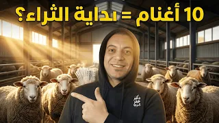 ابدأ ب    أغنام فقط  مشروع تسمين الأغنام للمبتدئين وأسرار الربح الحقيقي دندنها