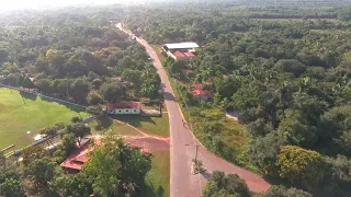                         دندنها