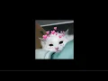 Download Lagu Eenie Meenie (Speed Up - Tiktok Version)