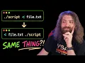Input Output stdin stdout - Bash Scripting Course pt17