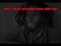 Ziggy Marley - Beach in Hawaii (karaoke)